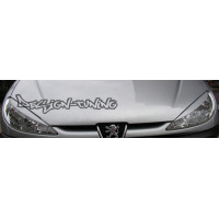 вії (накладки на фари) Peugeot 206 (ABS-пластик)