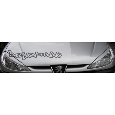 вії (накладки на фари) Peugeot 206 (ABS-пластик)