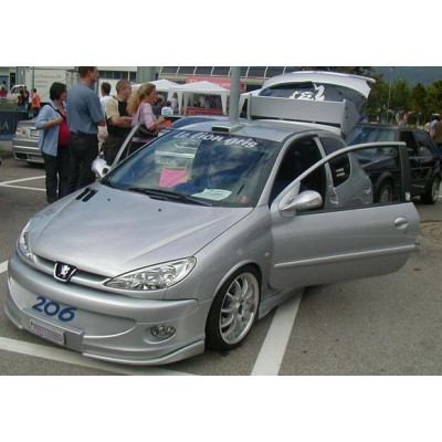 вії (накладки на фари) Peugeot 206 вузькі (скловолокно)