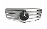 центральна тюнінг грати для Mercedes E-Class W211 (AMG Silver Chrome)