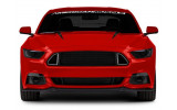 Решітка радіатора з LED Ford Mustang (2015-2017) Ecoboost, V6, GT