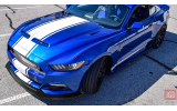 Дифузор переднього бампера Ford Mustang 2015-2017 Shelby style
