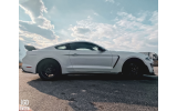 Сталеві крила Ford Mustang (2018-2021 GT, Ecoboost) GT350 стиль