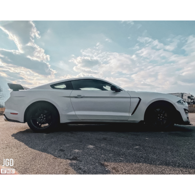 Сталеві крила Ford Mustang (2018-2021 GT, Ecoboost) GT350 стиль