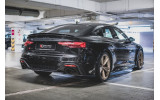 Центральна накладка на задній бампер Audi RS5 F5 післярестайл