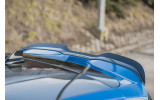 Тюнінговий спойлер Ford Focus 4 ST