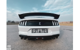 Дифузор заднього бампера Ford Mustang (2018-2021) GT500