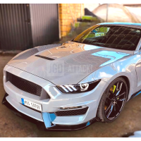Алюмінієвий капот Ford Mustang (2015-2017 V6, GT, Ecoboost) GT350 стиль