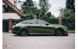 Бічні накладки під пороги Mercedes-AMG GT 63S 4 двері Coupe