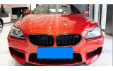 Грати (ніздрі) BMW 6 F06, F12, F13 стиль М6 чорна, з місцем під емблему