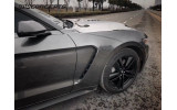 Алюмінієві крила Ford Mustang (2015-2017 V6, GT, Ecoboost) GT350 стиль