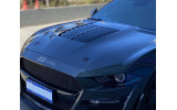 Алюмінієвий капот Ford Mustang (2018-2021, GT, Ecoboost) GT500 ikon style