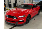 Решітка радіатора Ford Mustang (2018-2021) для бампера GT350