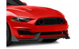 Решітка радіатора Ford Mustang (2018-2021) для бампера GT350