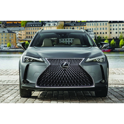 тюнінгові грати радіатора LEXUS UX 2019+