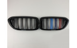 радіаторні решітки (ніздрі) в М-стилі для BMW 5 G30/G31