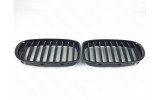 радіаторні решітки для BMW 7 Series F01/F02 (V1)