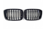 глянсові решітки (ніздрі) для BMW X3 G01 / X4 G02