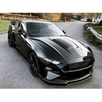 Алюмінієвий капот Ford Mustang (2018-2021, GT, Ecoboost) GT500
