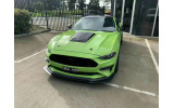 Алюмінієвий капот Ford Mustang (2018-2021, GT, Ecoboost) GT500