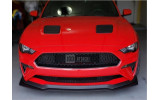 Решітка радіатора Ford Mustang (2018-2021) Ecoboost, GT стиль bullitt