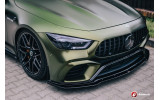 Накладка переднього бампера Mercedes-AMG GT 63S 4 Door Coupe Aero вер.2