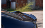 Тюнінговий спойлер на кришку багажника BMW X4 G02 M-Pack