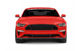 Грати в бампер Ford Mustang (2018-2021) Ecoboost, GT