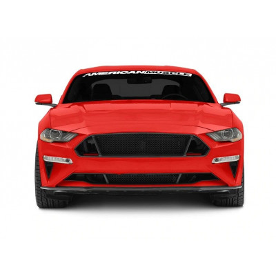 Грати в бампер Ford Mustang (2018-2021) Ecoboost, GT