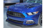 Решітка радіатора Ford Mustang (2015-2017) Ecoboost, V6, GT стиль California Special