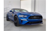 Решітка радіатора Ford Mustang (2018-2021) Ecoboost, GT