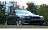 Грати радіатора (ніздрі) BMW E39 хром